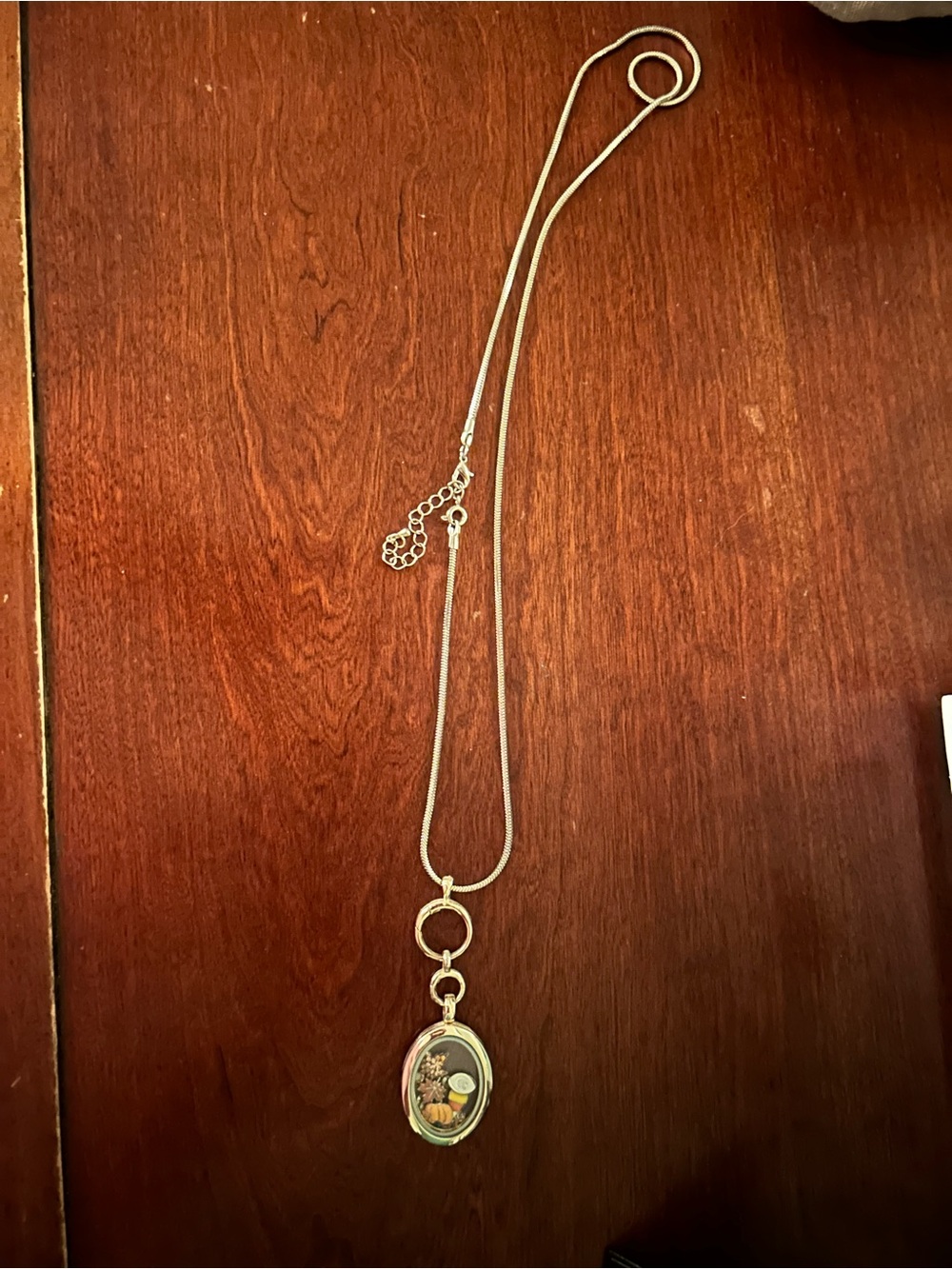 Gold Oval Locket Pendant Necklace with Fall Charms-Origami Owl